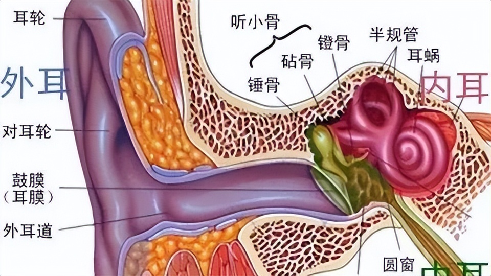 爱干净是好事还是坏事,爱干净的好处和坏处
