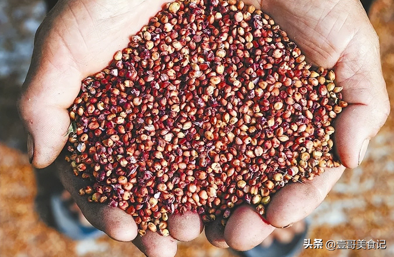 伏特加是世界三大蒸馏酒之一吗,伏特加酒精相当于中国酒多少度