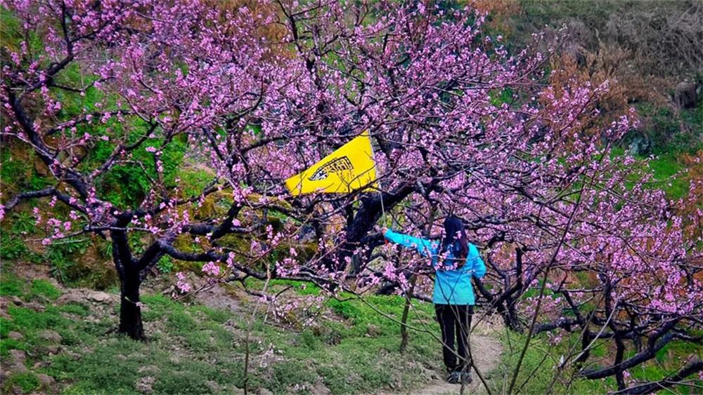 预测刷屏！疫情今春有望结束？适合2月去的18个大美山河准备好了