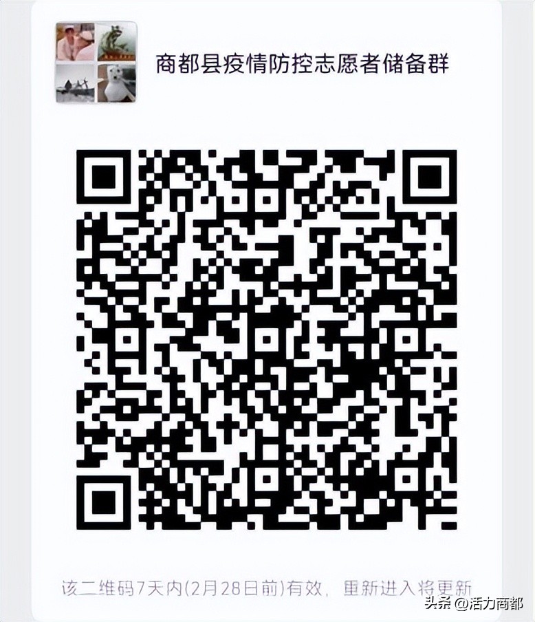 志愿者招募令完整版,志愿者招募令的密码错误怎么办