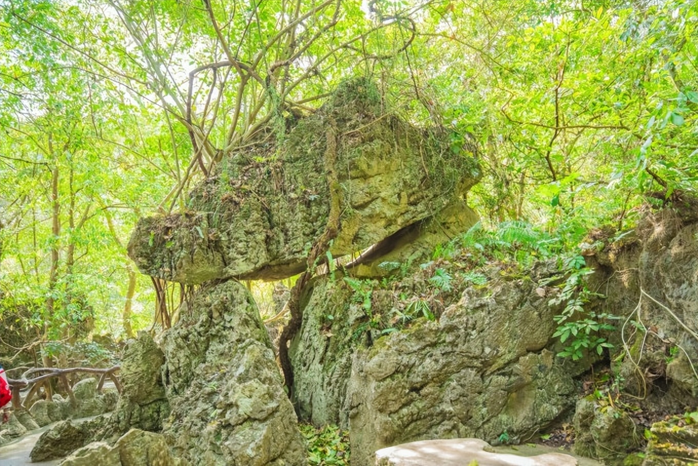 自驾游贵州黄果树旅游攻略,安顺黄果树景区旅游攻略路线推荐