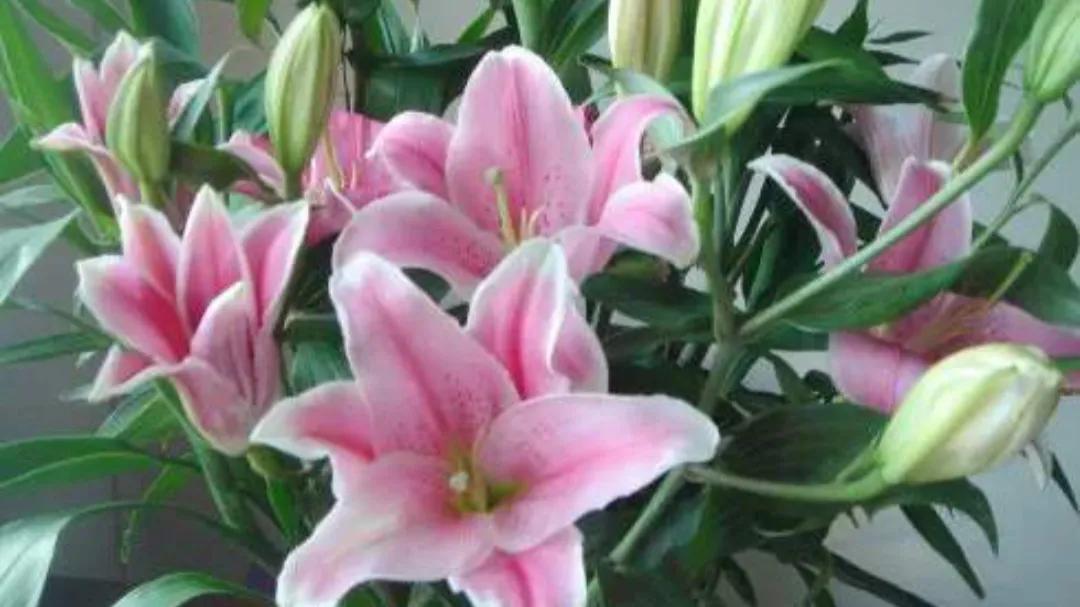 怎样看清男友的真实面目,如何看清一个人的真面目