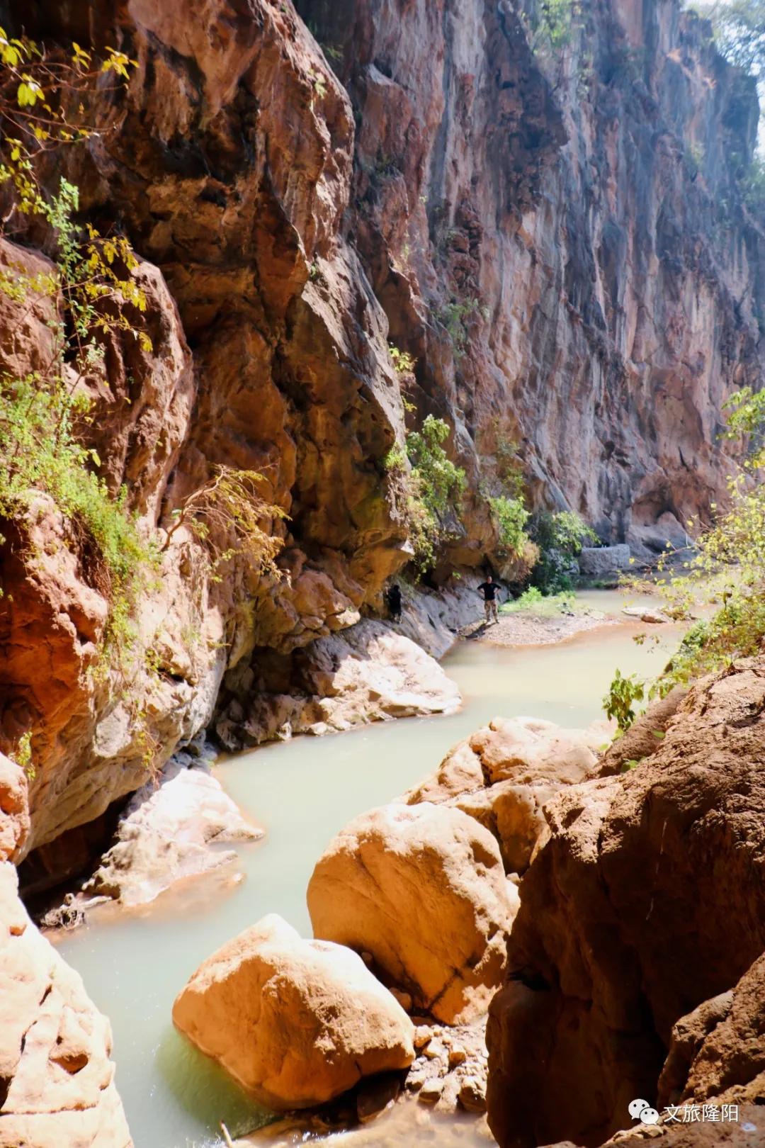 冬樱散场菜花香，蜂飞花间采蜜忙：用一天的时间去邂逅乡野风光