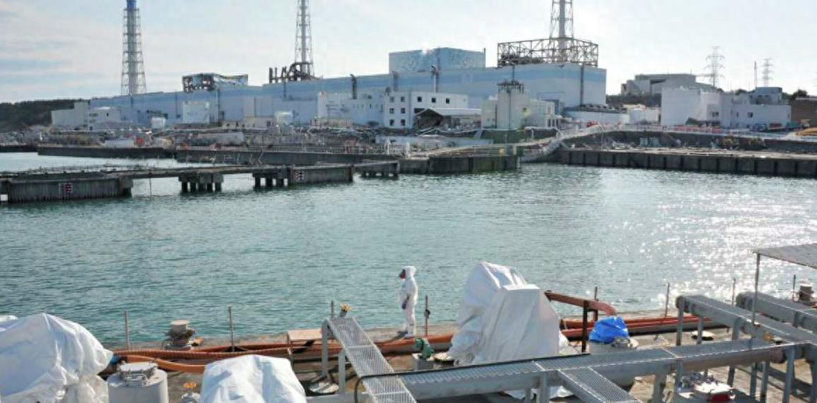 韩国老板硬气，自费租飞机把10万条死鱼运到福岛，日本人傻眼了