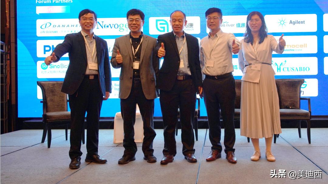 抗体药物最新技术,新型抗体