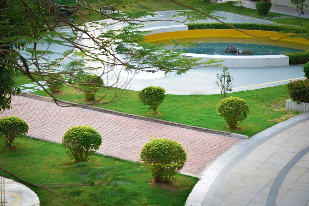 深圳市携创高级技工学校学费2021,深圳携创高级技工学校校区