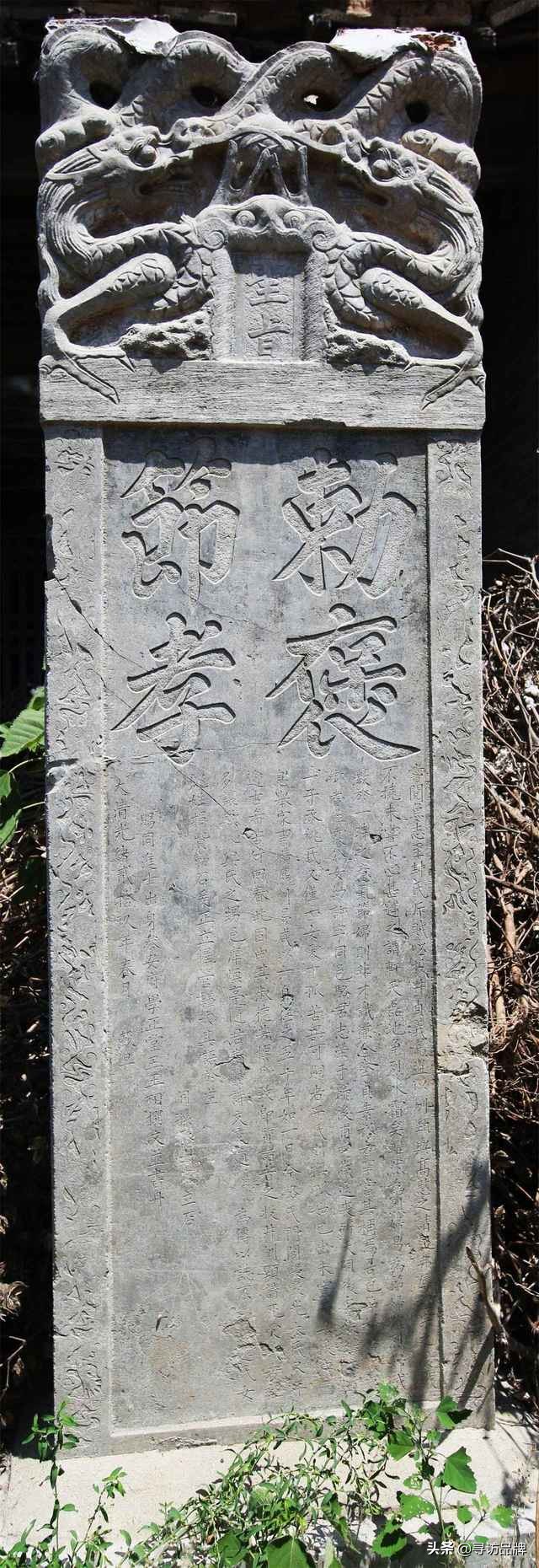 山东访谈｜济宁市名优产品推广协会乡村振兴分会走进鱼骨集村