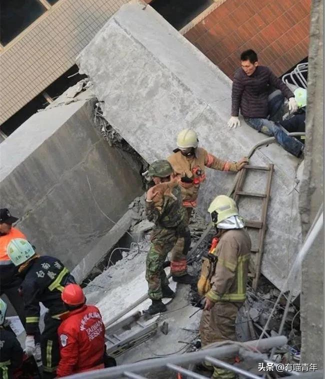 养猫有细菌浪费钱吗,养猫有用吗