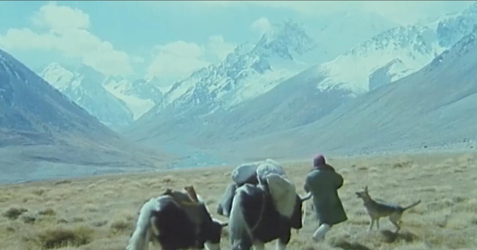 一部让人绝望的短片,一部让人绝望的电影