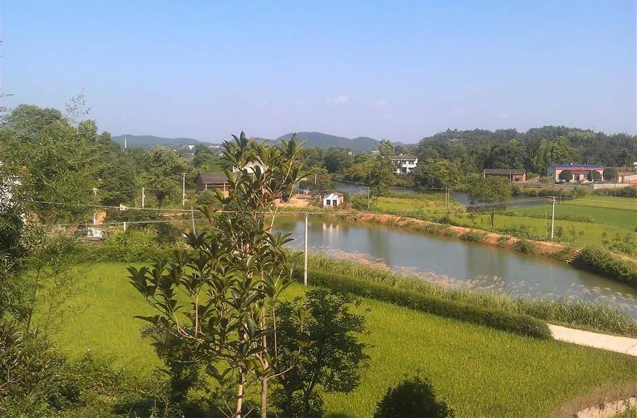 宁乡桃林镇,长沙市道林镇