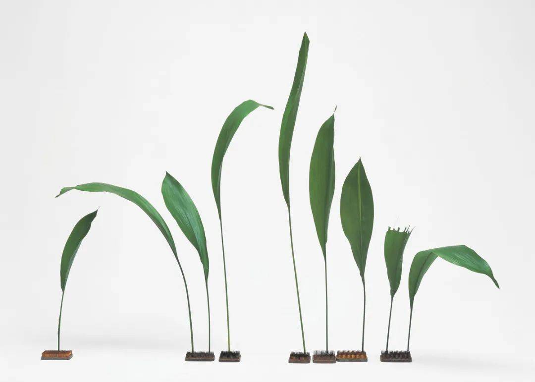 日式插花小原流花道,日式插花的13个基本技巧