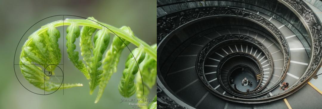 兔子没有实力就被人瞧不起,兔子从来没被战胜过