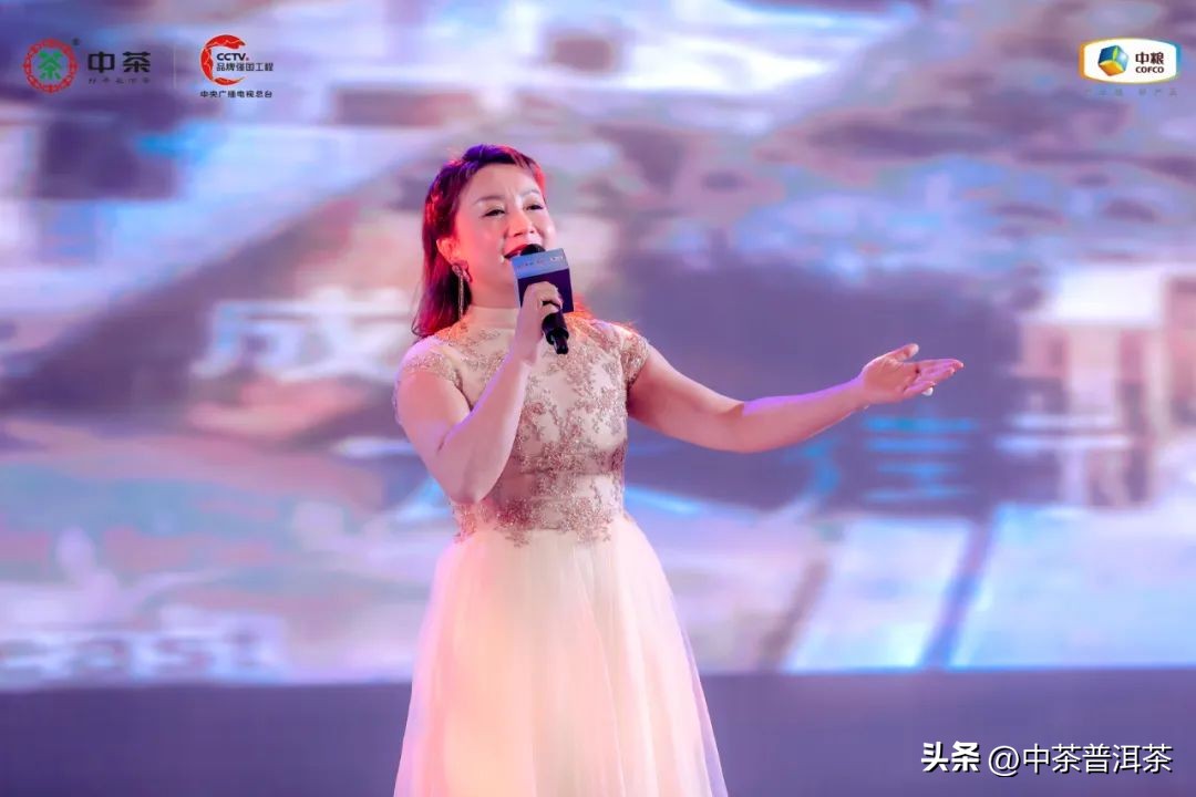 中茶普洱茶经销商信息大会,中茶2024年经销商大会