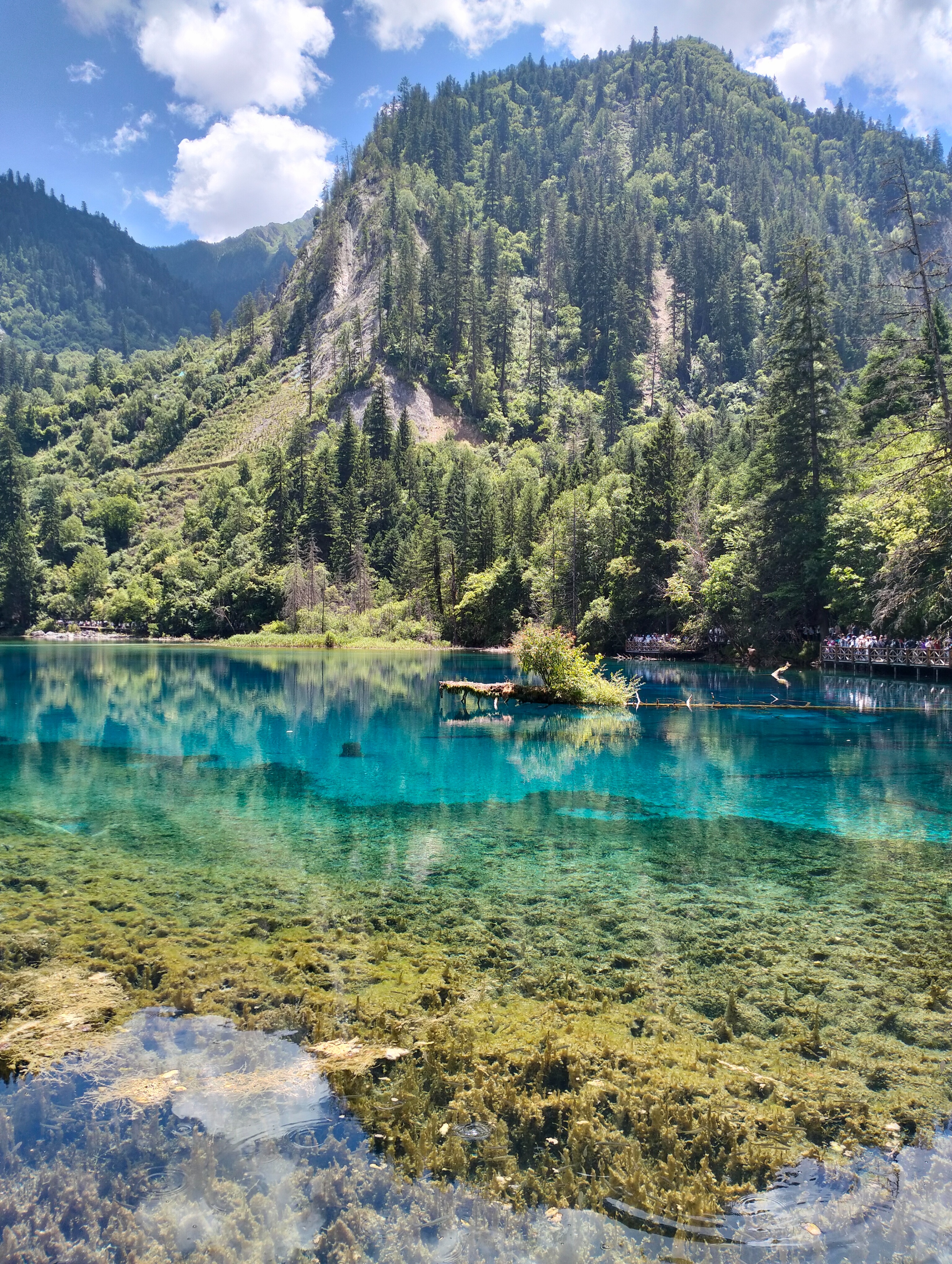 九寨沟一年四季都有雪山吗,九寨沟一年四季都开放吗