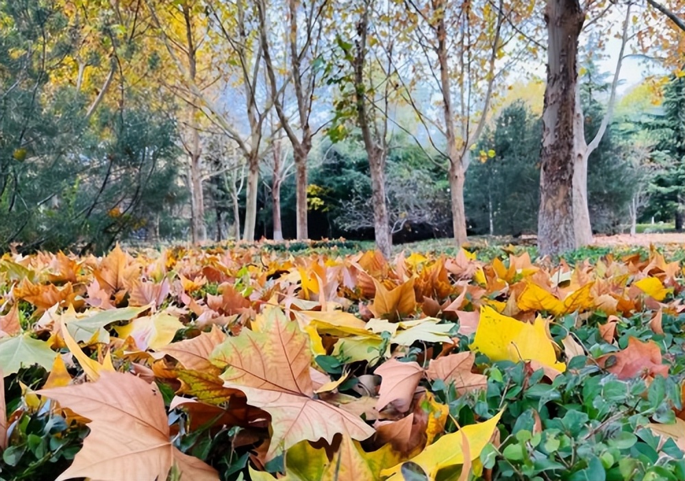 固特异山道巡礼,固特异大连发现之旅