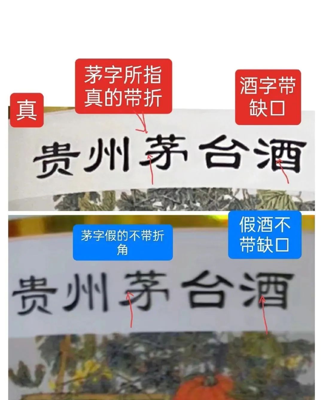 怎样辨别兔茅的真假,兔茅精选跟兔茅区别
