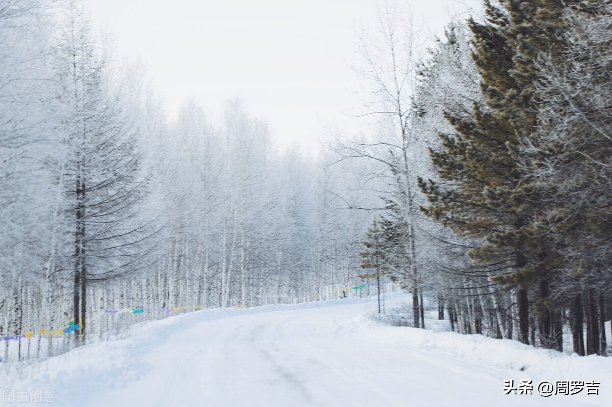 枯树赋赏析,枯树赋朗诵完整版