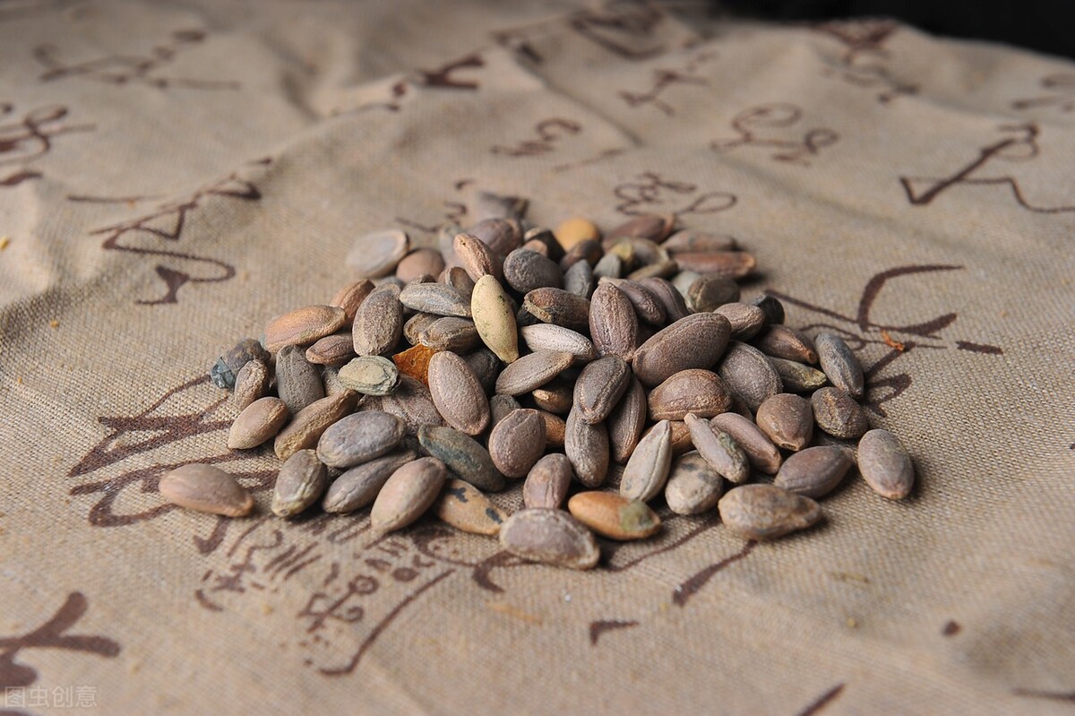 遗精四年，源起相火过旺，肾气亏虚，欲止遗，先止心