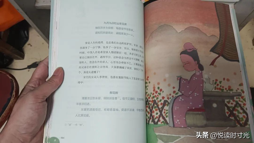 解读最美唐诗宋词,唐诗宋词经典推荐及阅读心得