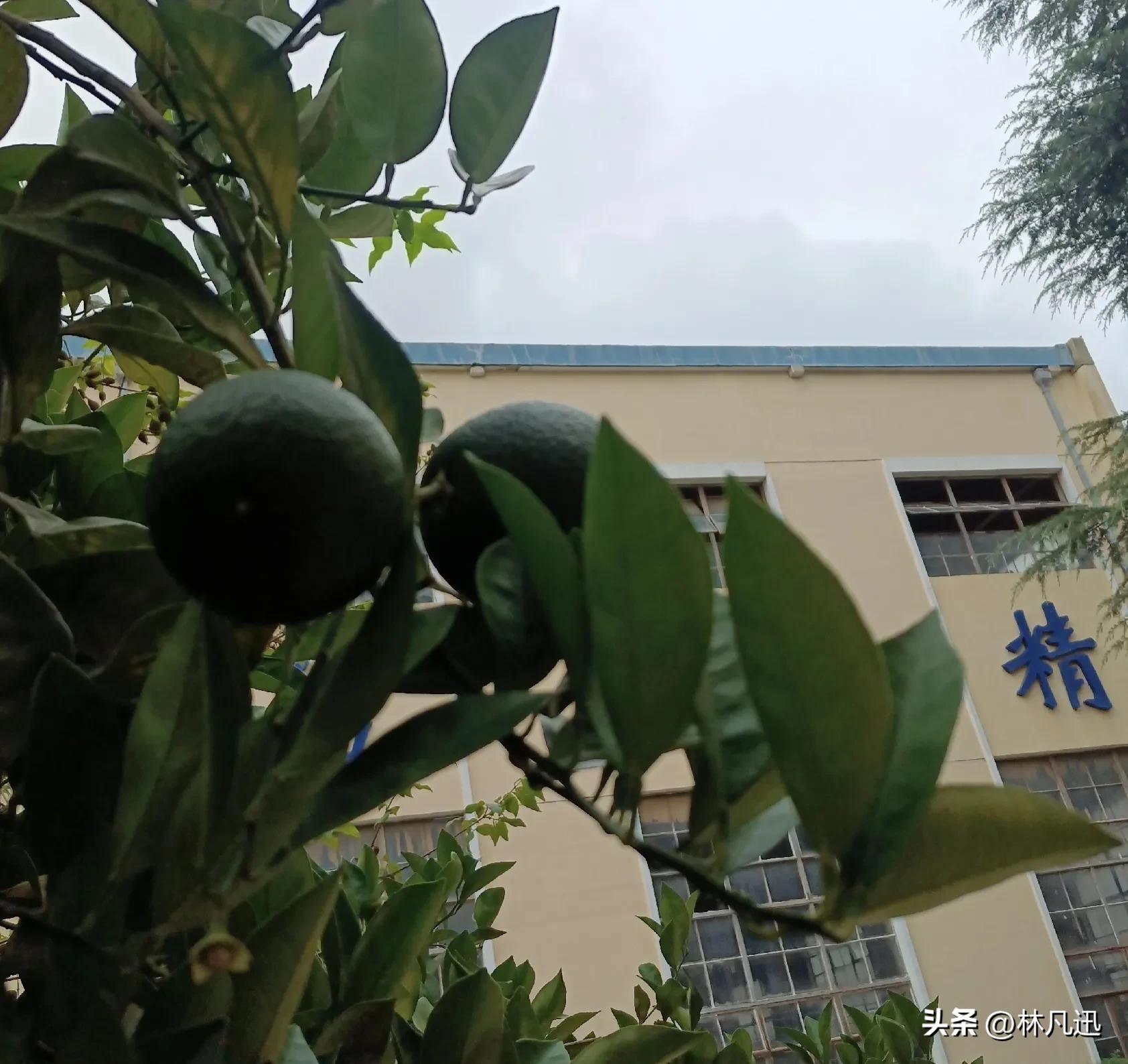 炒股最主要技术指标,炒股主升浪最佳战法