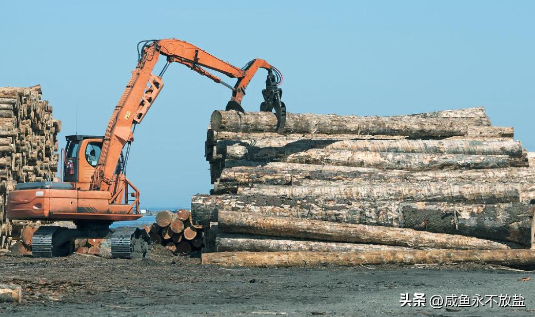 从林业运营中起重机的技术探索，分析如何提升其砍伐、剥皮等性能