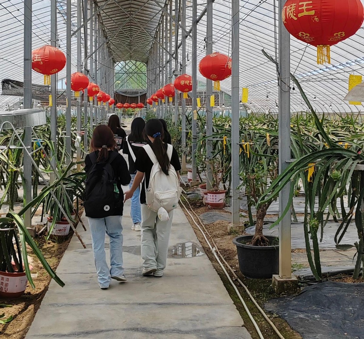 实践出真知事实胜于雄辩,实践出真知高山听流水