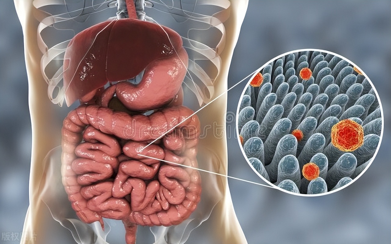 你关注过这些日常用品的卫生吗,日常卫生用品有哪些