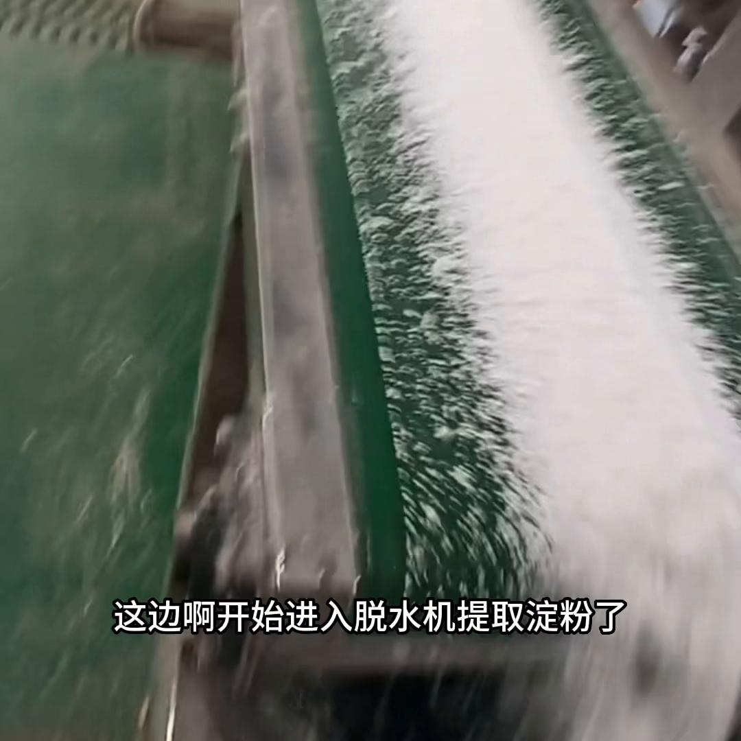 东北正宗的土豆粉条,纯正的土豆粉条家乡的味道