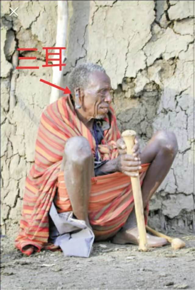 山海经2012白话全译彩图版pdf,山海经海外西经是指哪里