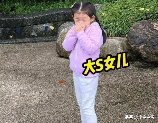 大s结婚前知道具俊晔的黑历史吗,大s具俊晔结婚在韩国是什么反应