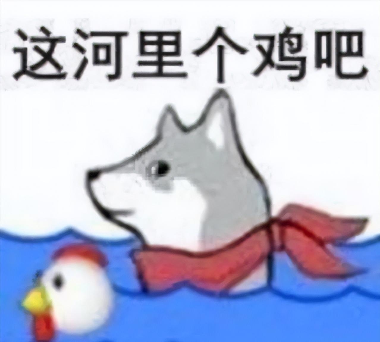 梗知识的理解,梗知识大全