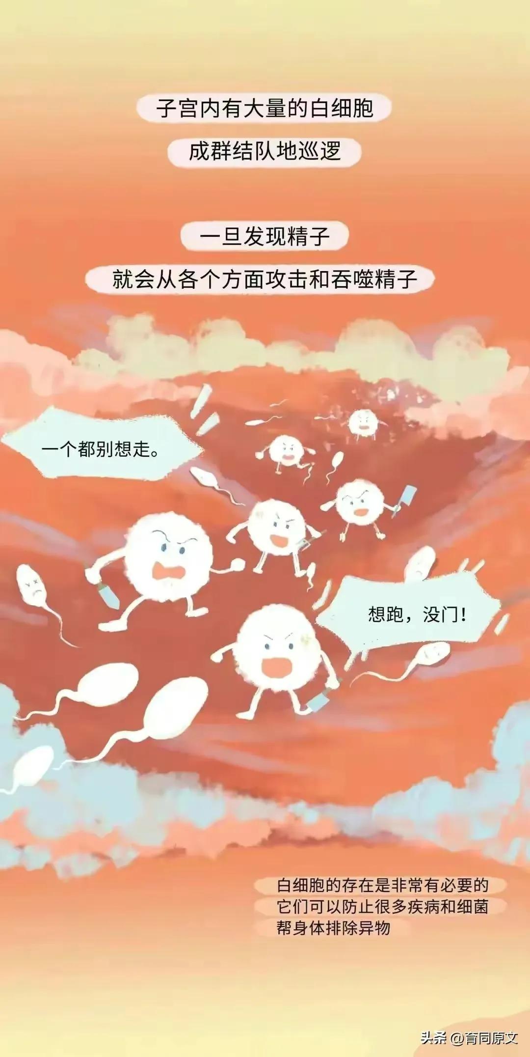 关于怀孕初期的漫画,漫画女性怀孕后都要经历些什么