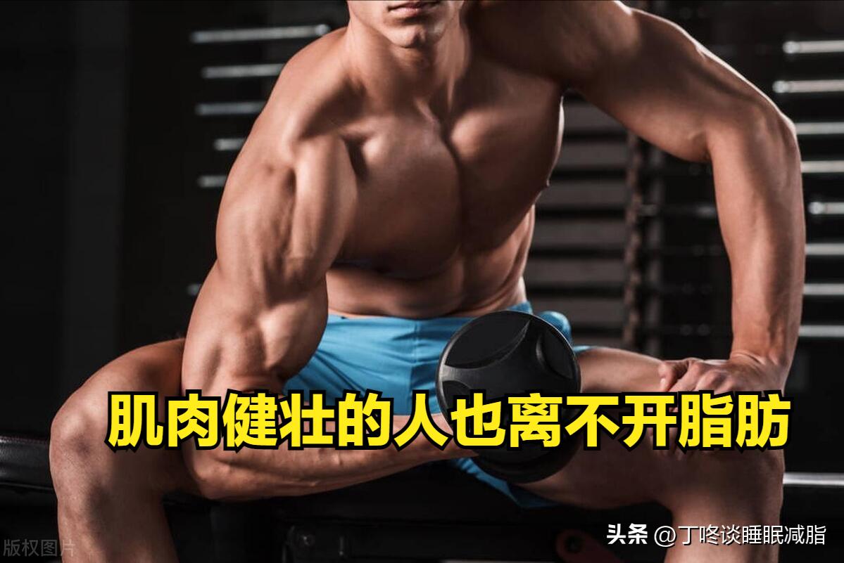 你真的懂如何减肥吗,减脂后期顽固脂肪怎么减