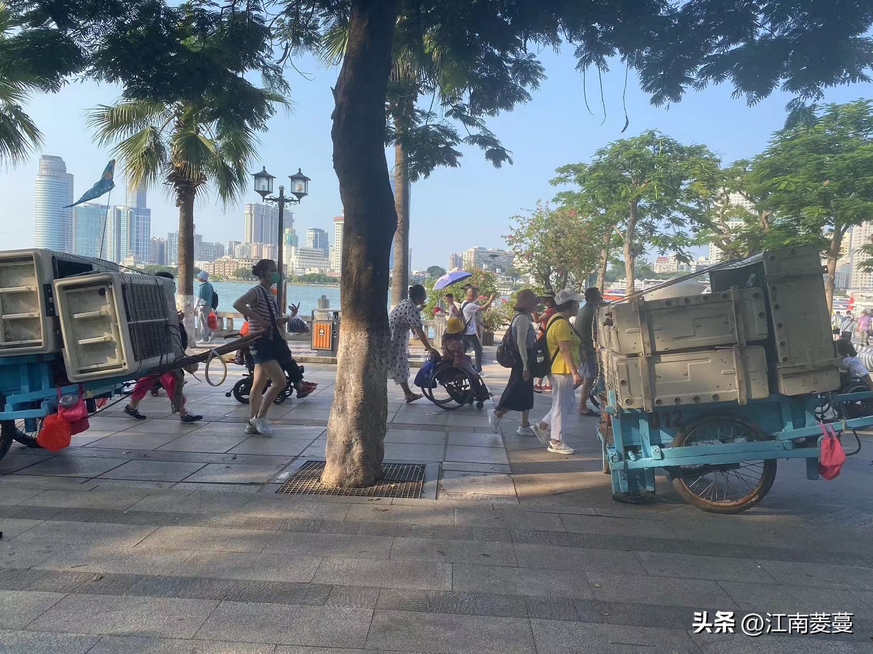 浙江海岛和厦门哪里值得去,为什么那么多人选择去厦门旅游