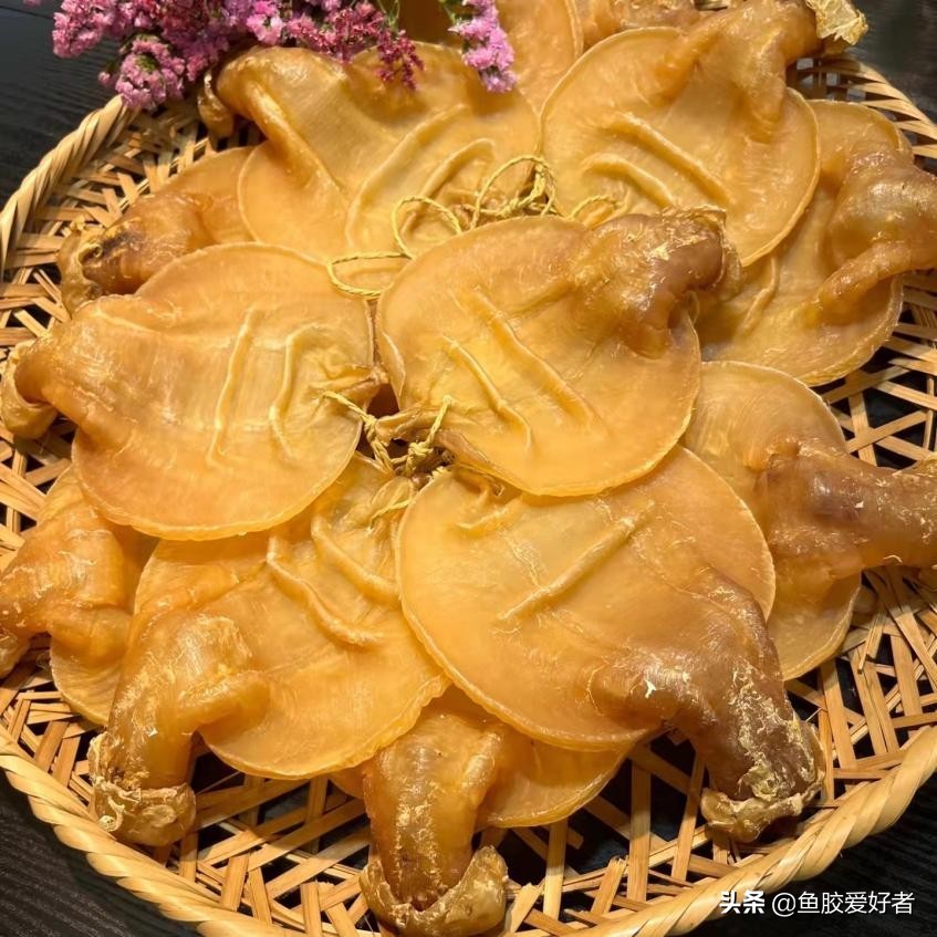 购买鱼胶之前这些常识你必须看看,不建议入手的鱼胶