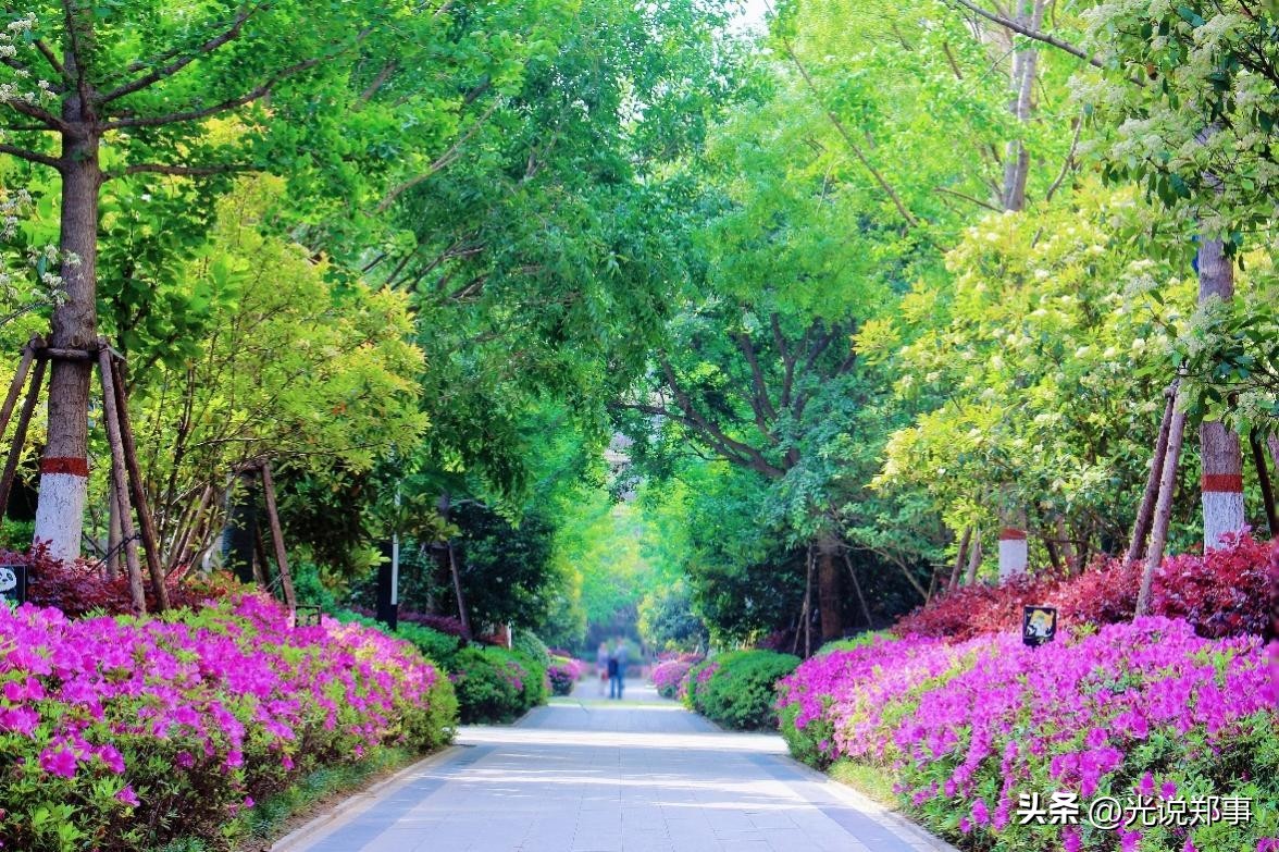 万科物业焕新行动,万科物业参与城市更新服务