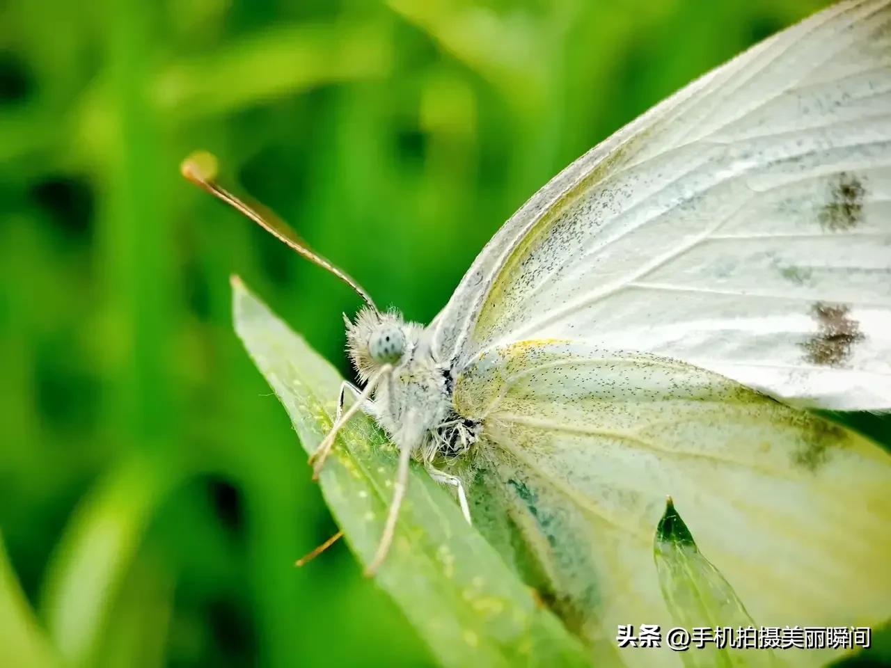 浠婃棩澶存潯鎺ㄨ崘鍓槧,浠婃棩澶存潯鎺ㄨ崘