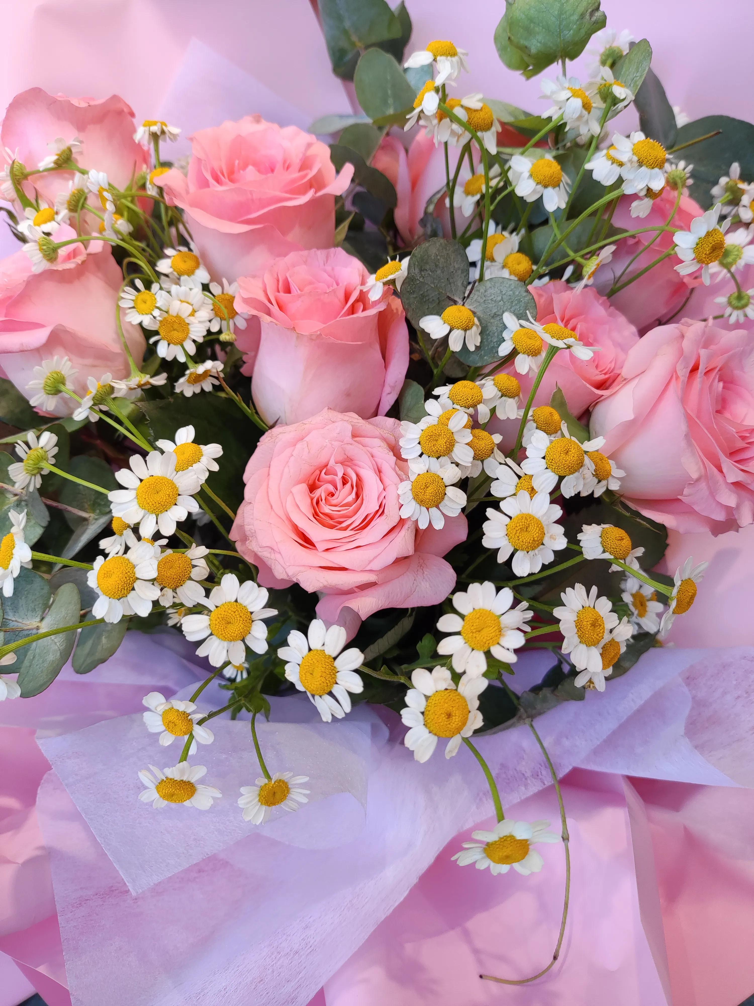 人活着就是要一种好心态才会开心,其实人活的正确方式开心就好