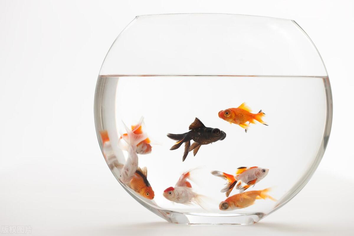 送礼能送五样有讲究吗,送礼物的十大讲究