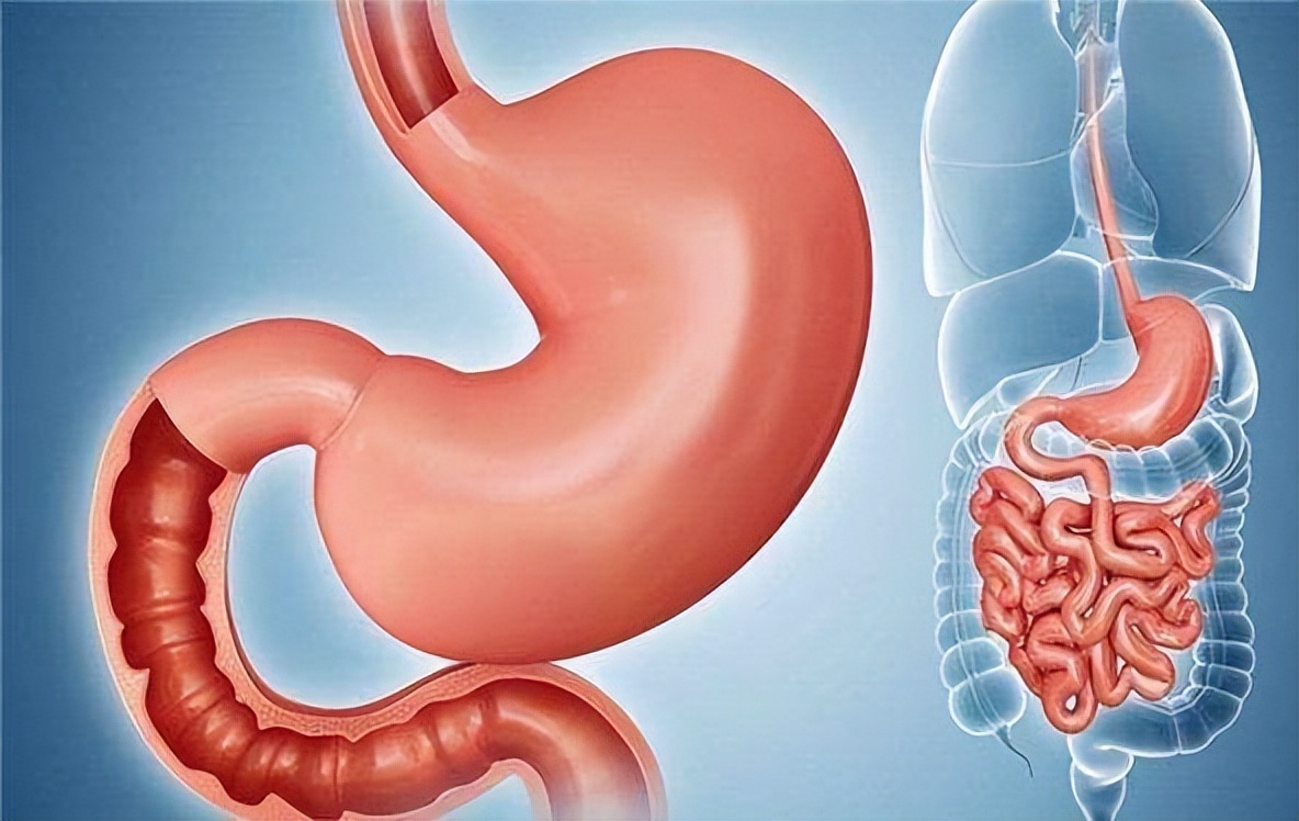 大蒜治胃炎真的假的啊,大蒜对胃炎的功效与作用