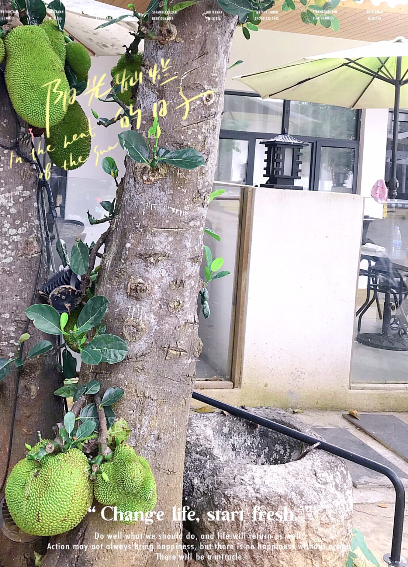 四天三晚北海涠洲岛旅游攻略,北海攻略涠洲岛攻略