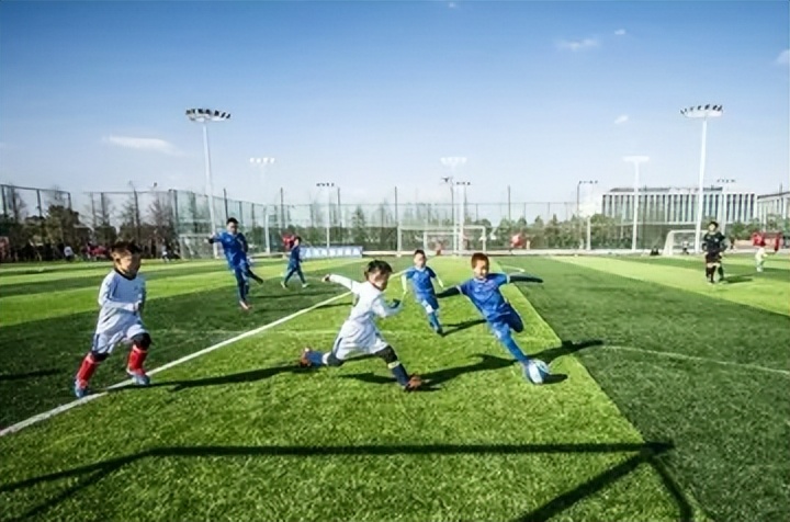 足球规则2024,足球基本法