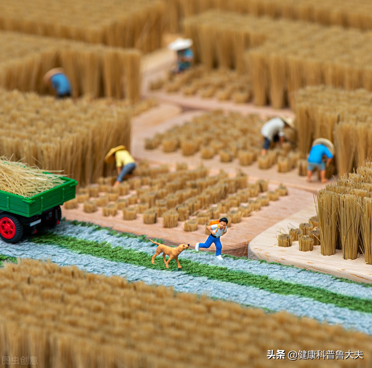 家有帕金森病人，有没好办法？看《扁鹊心书》怎么说