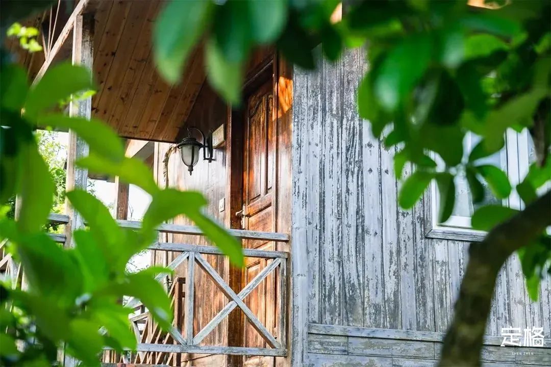 2022深圳10个小众打卡地免费游玩,深圳值得打卡的旅游地