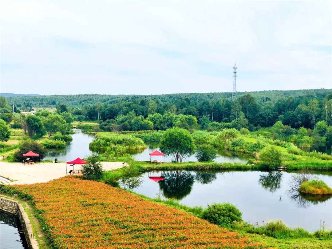 湿地可以开发什么旅游项目,黑龙江旅游必去十大湿地排名