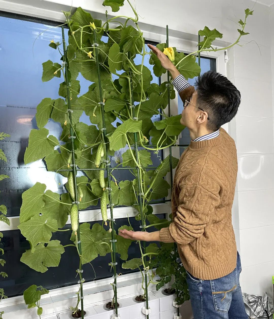 全自动阳台种菜神器,阳台立体种菜神器