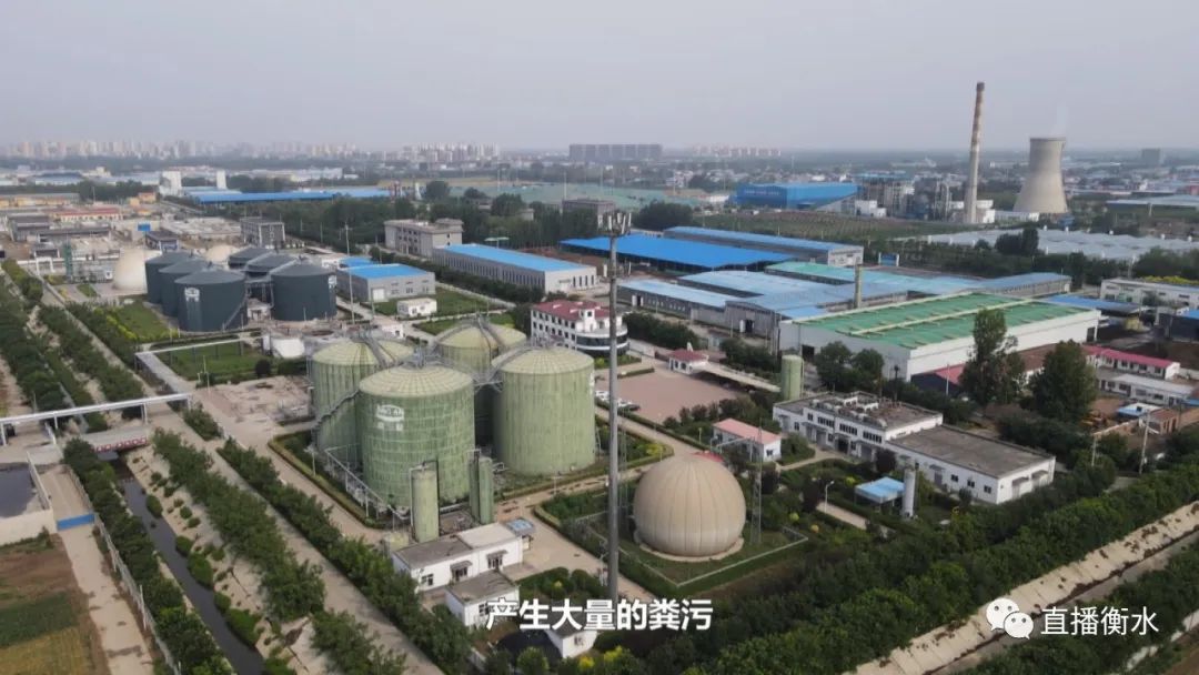 衡水市现代农业园区,衡水农业产业化助力乡村振兴