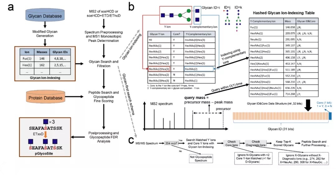 复旦上医11月科研成果一览,复旦大学科研成果分析