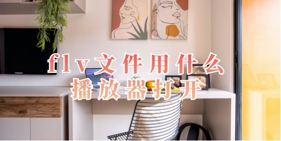 flv文件怎么固定打开方式,flv文件应该用什么软件打开呢