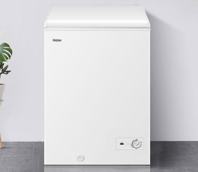 专门保鲜的小冰柜,家里有冰箱了还需要买个小冰柜吗